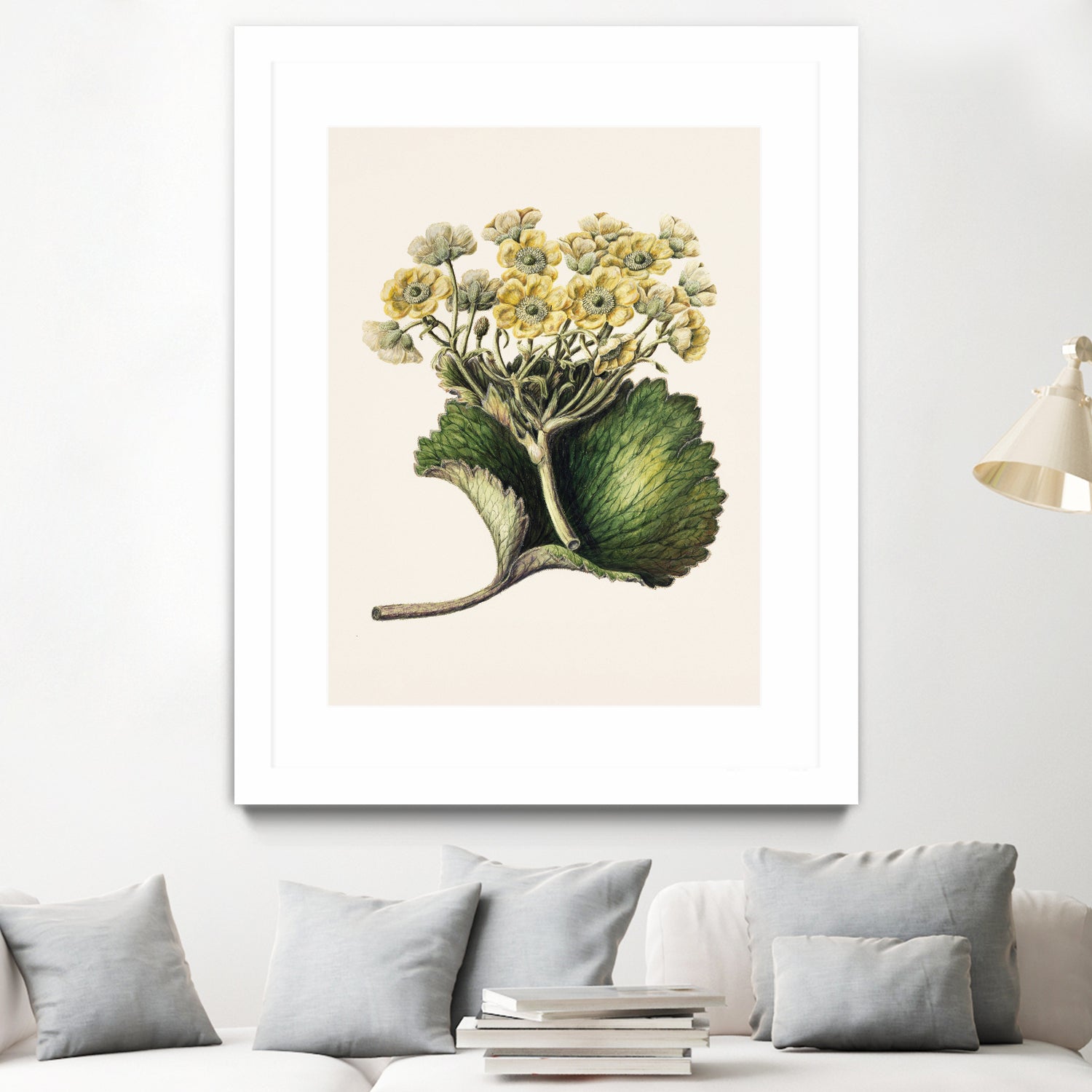 Korikor Drawn By Sarah Featon (1848a€“1927 by Sarah Featon on GIANT ART - flowers and plants vintage botanical