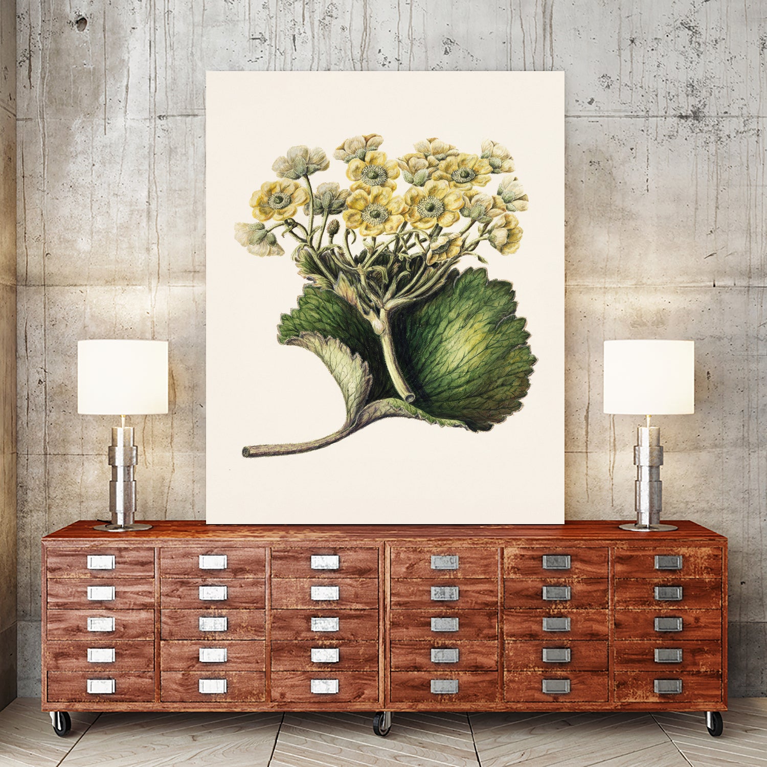 Korikor Drawn By Sarah Featon (1848a€“1927 by Sarah Featon on GIANT ART - flowers and plants vintage botanical