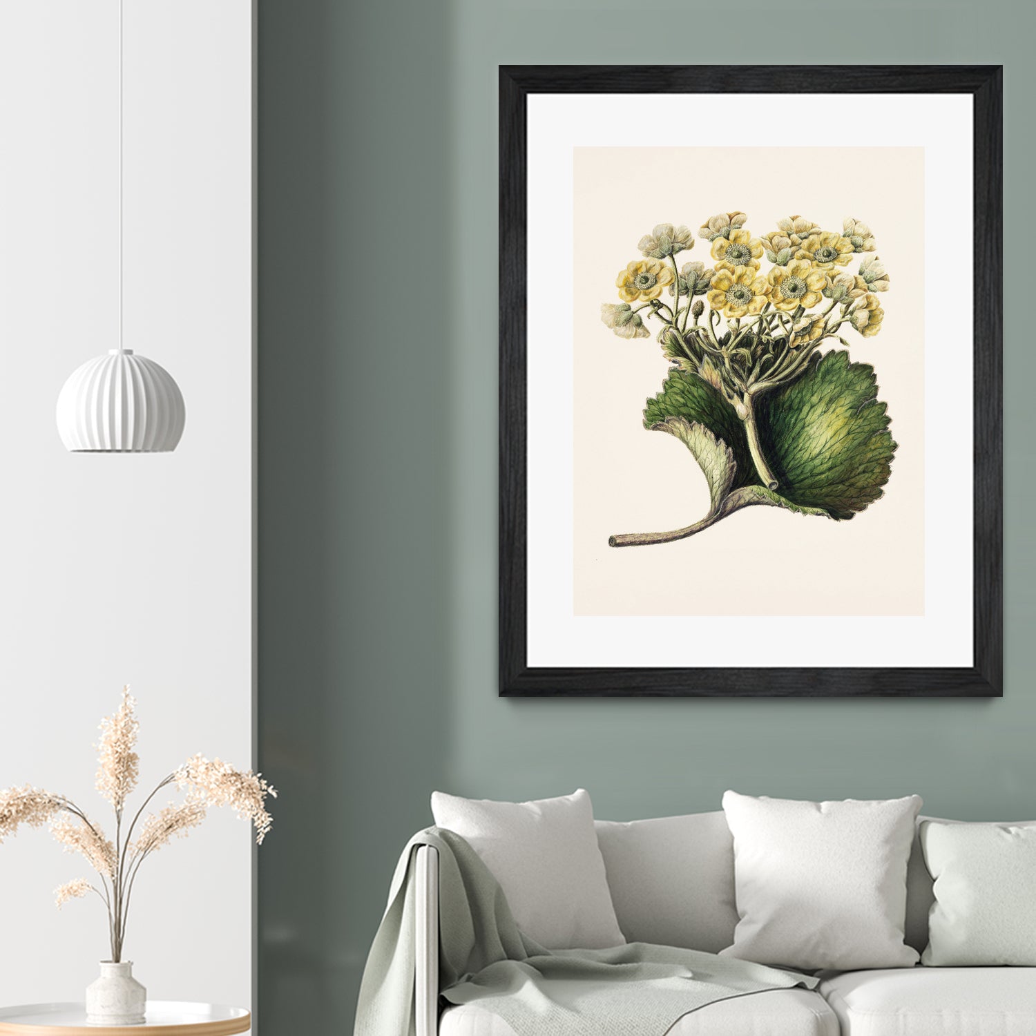 Korikor Drawn By Sarah Featon (1848a€“1927 by Sarah Featon on GIANT ART - flowers and plants vintage botanical