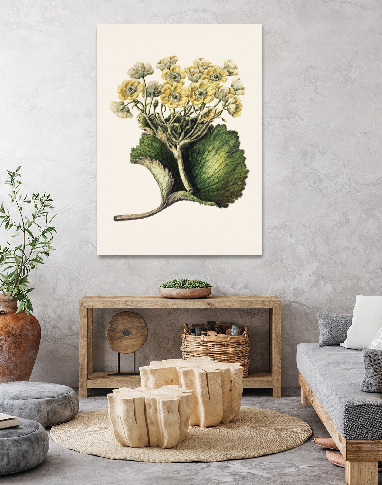 Korikor Drawn By Sarah Featon (1848a€“1927 by Sarah Featon on GIANT ART - flowers and plants vintage botanical