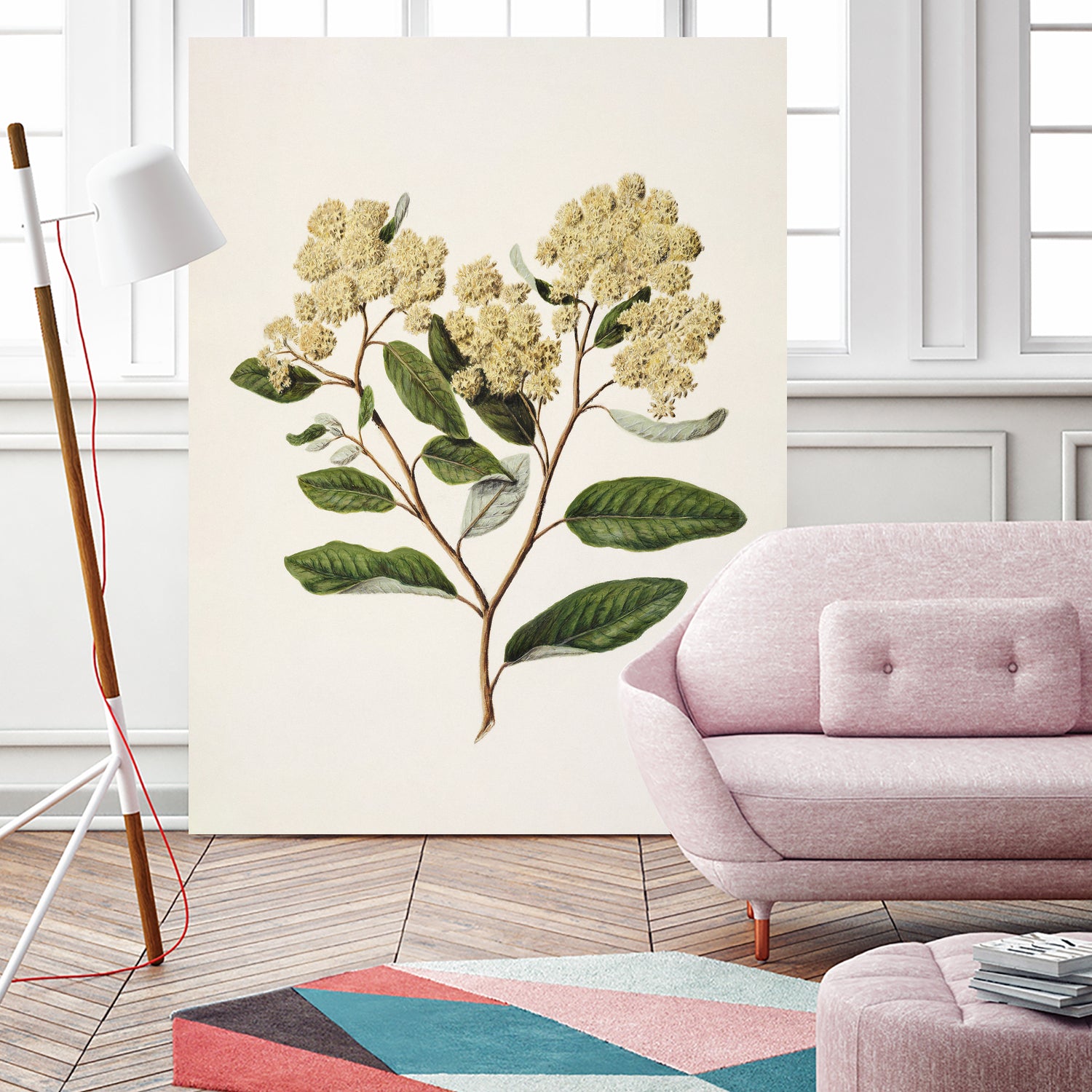 Kumarahou Drawn By Sarah Featon (1848a€“1927 by Sarah Featon on GIANT ART - flowers and plants vintage botanical