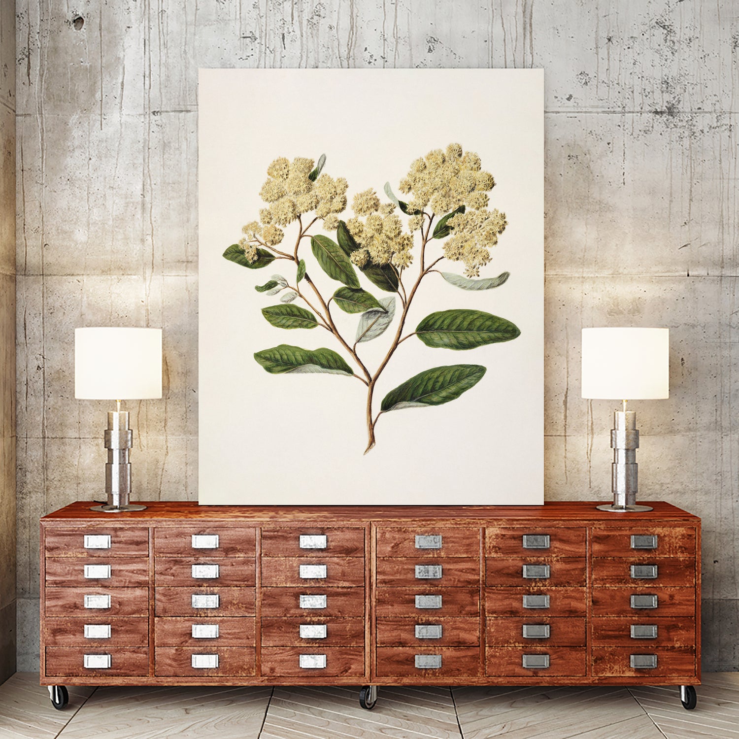 Kumarahou Drawn By Sarah Featon (1848a€“1927 by Sarah Featon on GIANT ART - flowers and plants vintage botanical