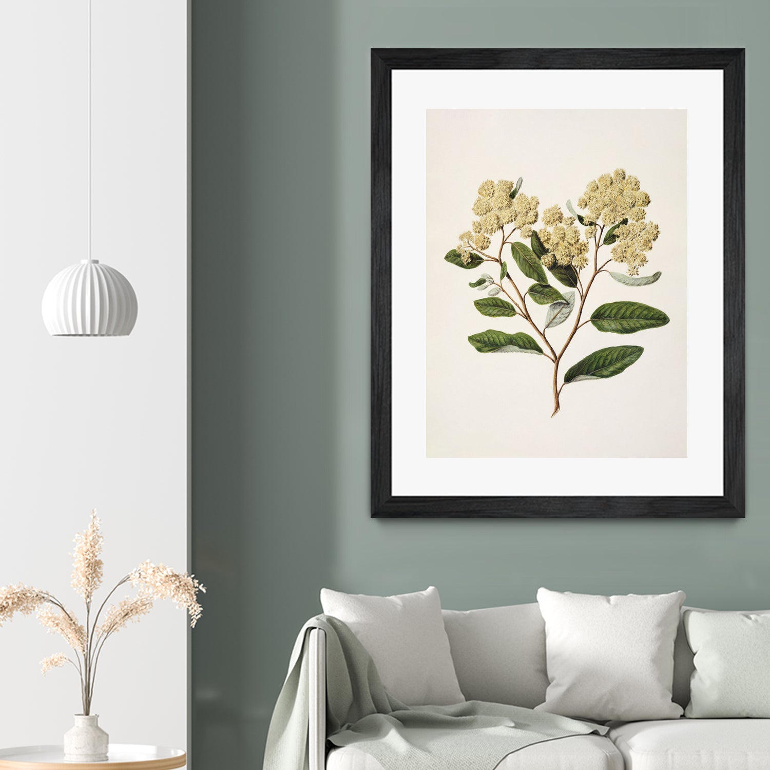 Kumarahou Drawn By Sarah Featon (1848a€“1927 by Sarah Featon on GIANT ART - flowers and plants vintage botanical