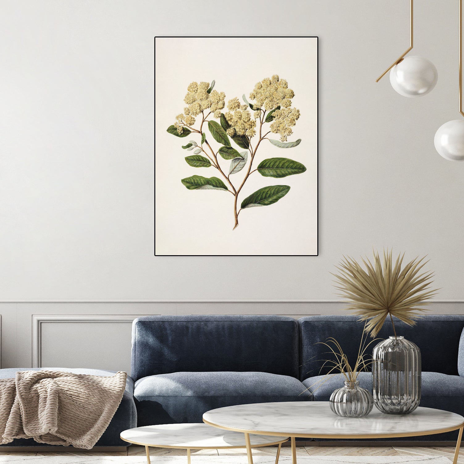 Kumarahou Drawn By Sarah Featon (1848a€“1927 by Sarah Featon on GIANT ART - flowers and plants vintage botanical