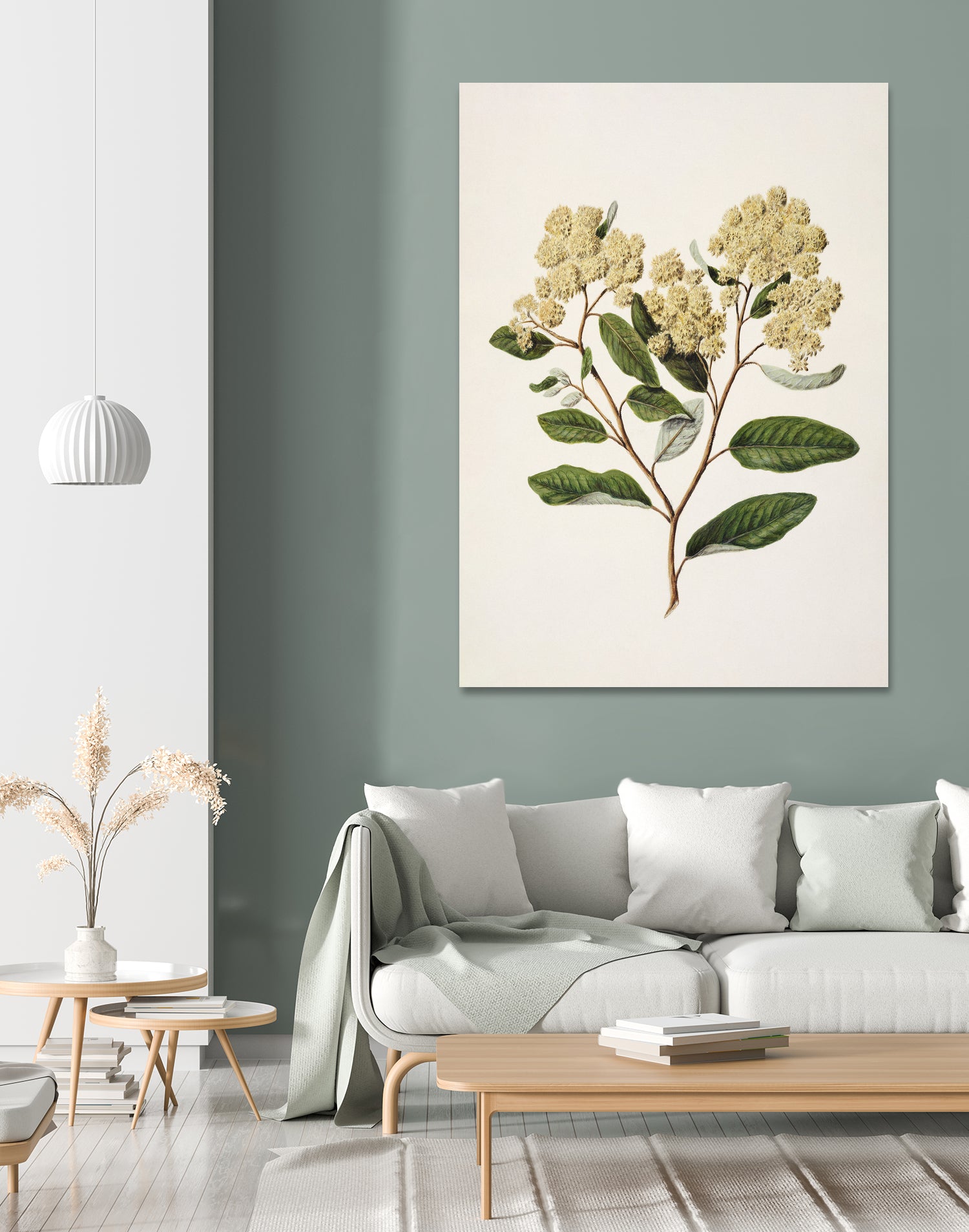 Kumarahou Drawn By Sarah Featon (1848a€“1927 by Sarah Featon on GIANT ART - flowers and plants vintage botanical