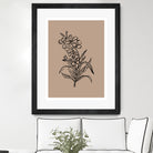 Delicate Blossoms by Treechild on GIANT ART - 7200 photography