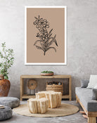 Delicate Blossoms by Treechild on GIANT ART - 7200 photography