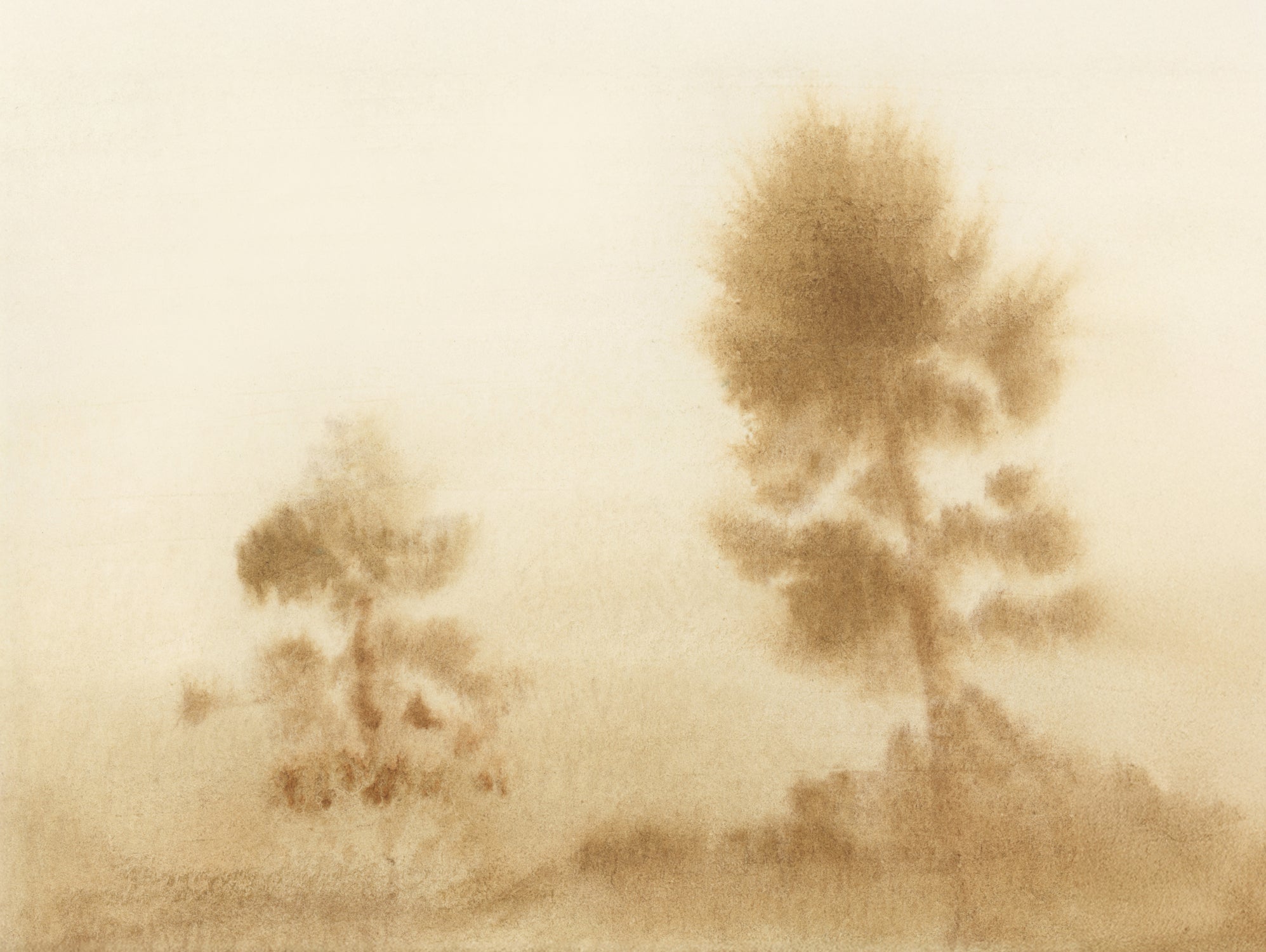 Misty Meadow by Dan Hobday on GIANT ART -  outdoor