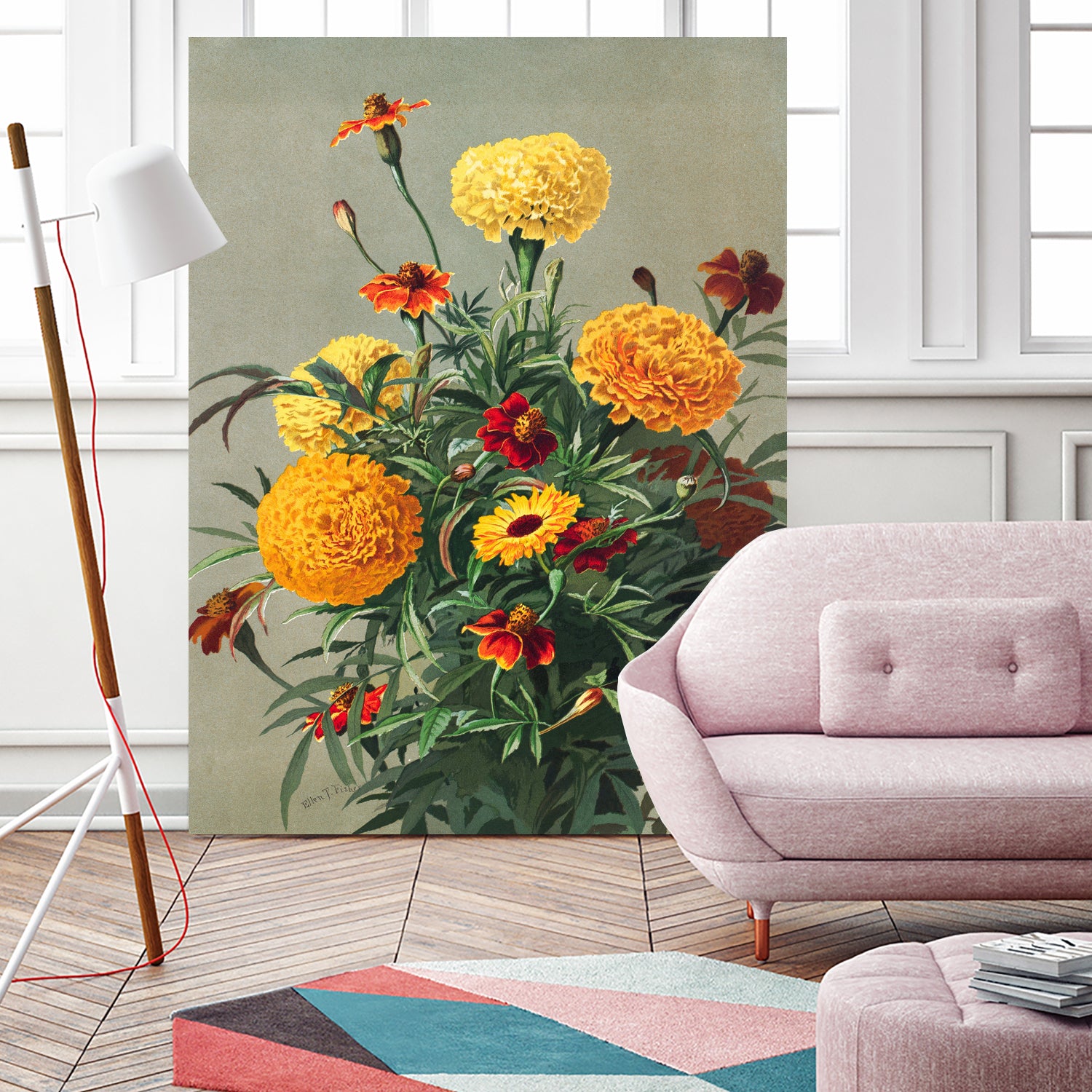 Marigolds by Ellen Thayer Fisher on GIANT ART - illustration ellen thayer fisher