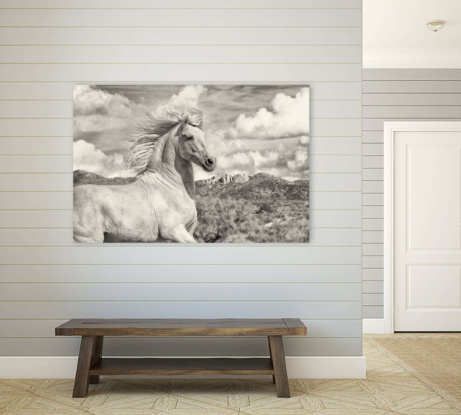 Free to Run by PHBurchett on GIANT ART - animal