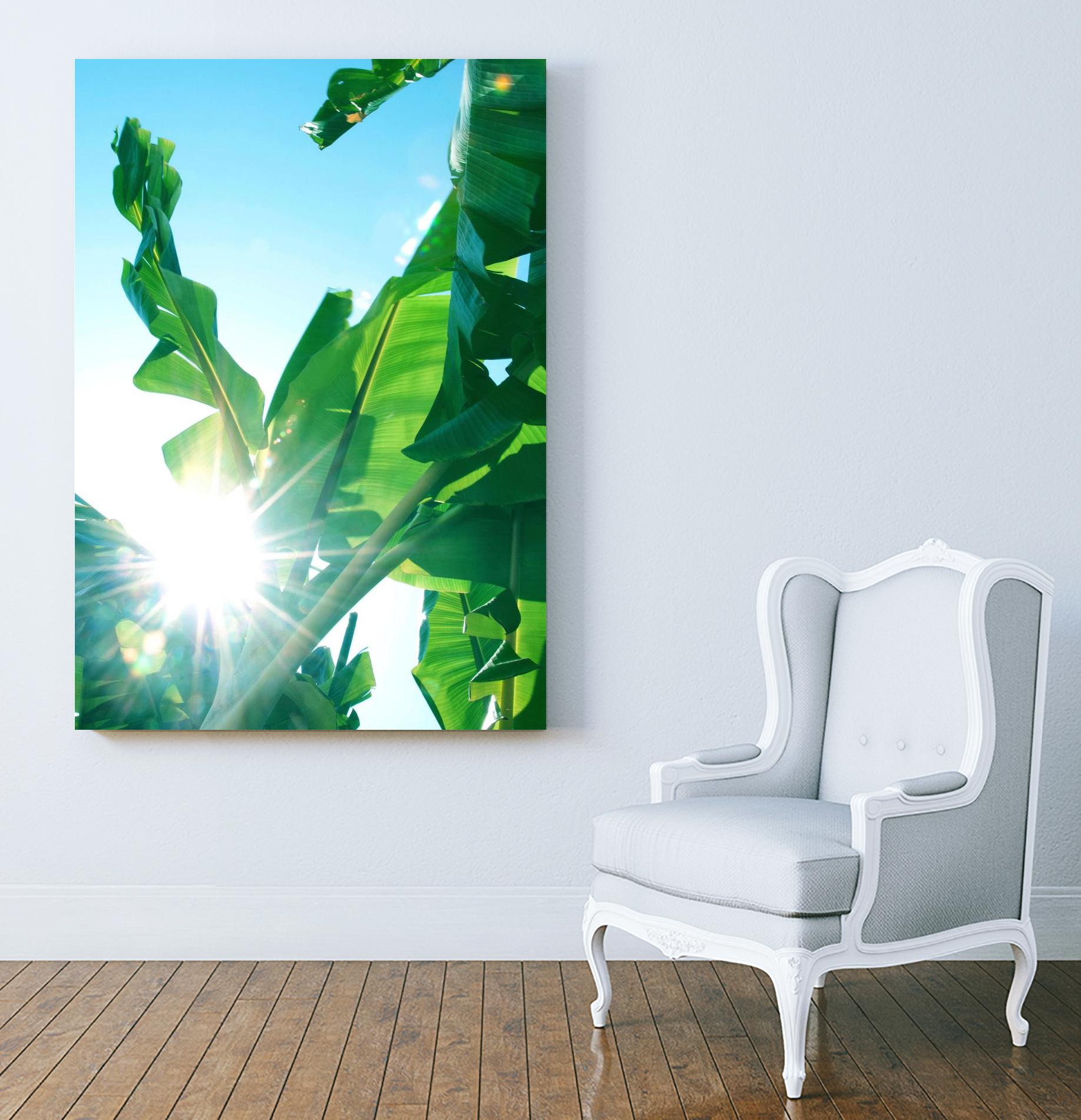 Banana Leaves Delight #1 #tropical #decor #art by Anita's & Bella's Art on GIANT ART