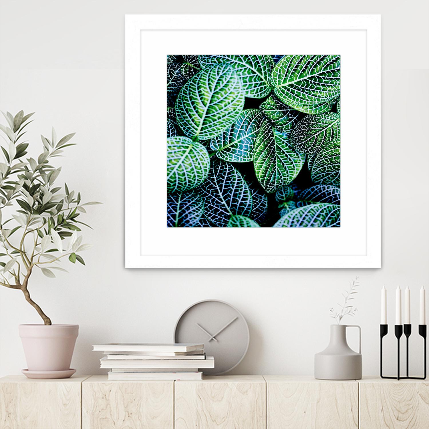 Leaf VIII by Peter Morneau on GIANT ART - white botany