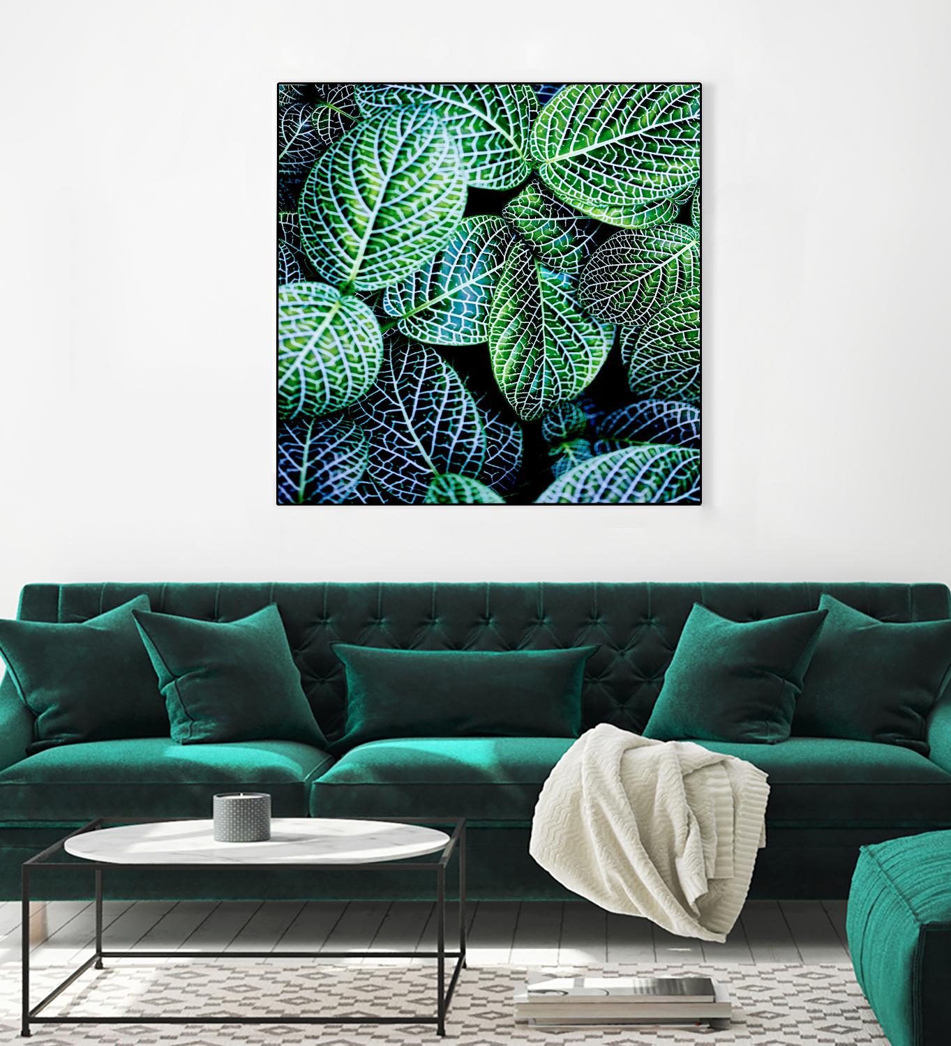 Leaf VIII by Peter Morneau on GIANT ART - white botany