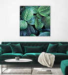 Leaf VIII by Peter Morneau on GIANT ART - white botany