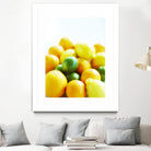 Lemons by Peter Morneau on GIANT ART - yellow photo art