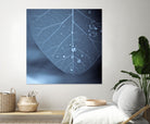 Tendresse by Jean-François Dupuis on GIANT ART - blue photo art