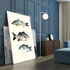 Fish Grouping 2 by Natasha Marie on GIANT ART - grey animals