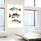 Fish Grouping 2 by Natasha Marie on GIANT ART - grey animals