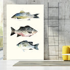 Fish Grouping 2 by Natasha Marie on GIANT ART - grey animals