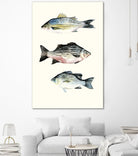 Fish Grouping 2 by Natasha Marie on GIANT ART - grey animals