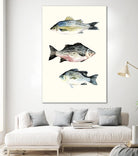 Fish Grouping 2 by Natasha Marie on GIANT ART - grey animals