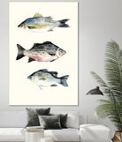 Fish Grouping 2 by Natasha Marie on GIANT ART - grey animals