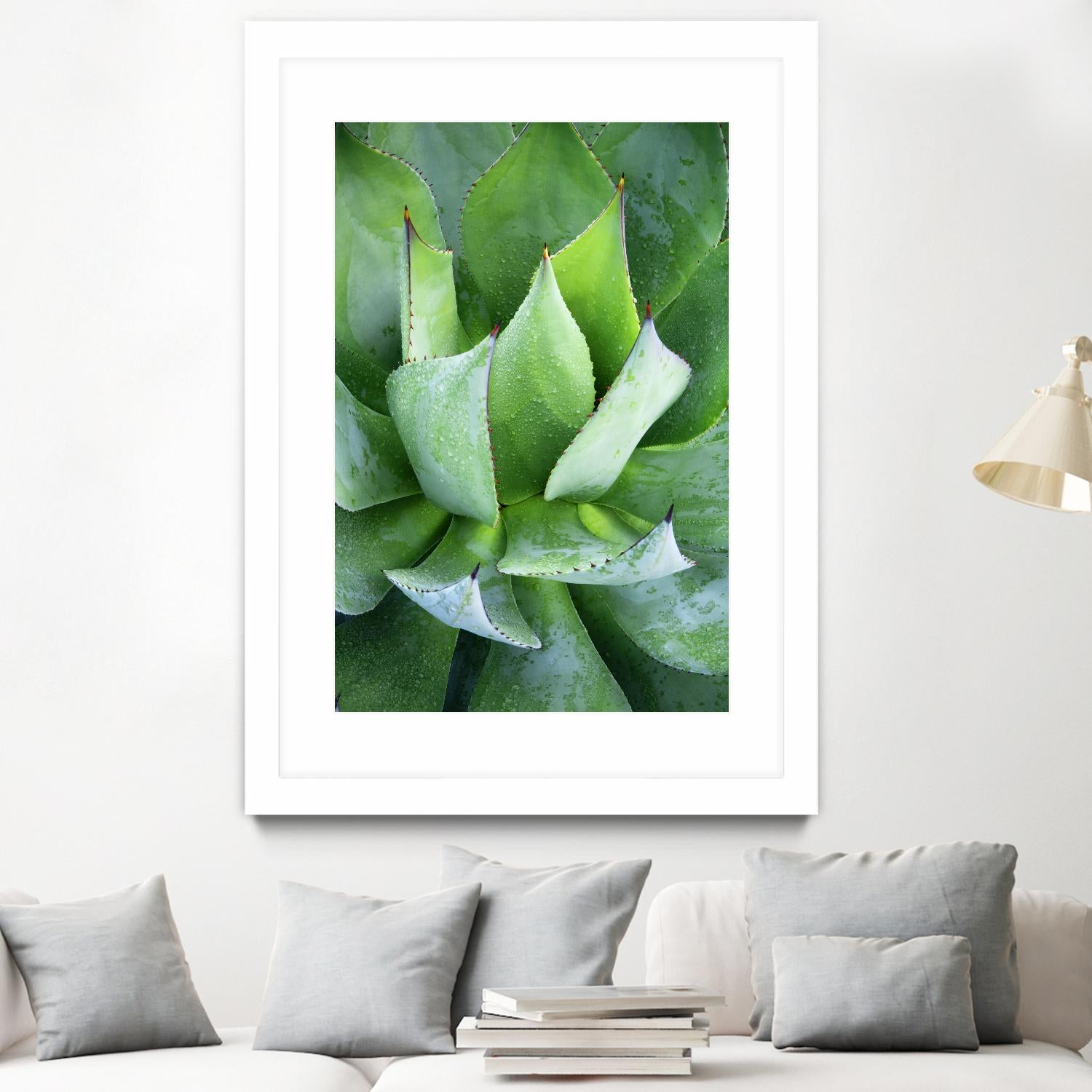Yucca Study 1 by Acer Images on GIANT ART - green botany