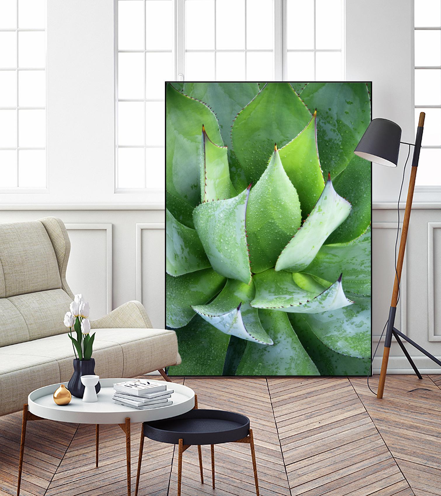 Yucca Study 1 by Acer Images on GIANT ART - green botany