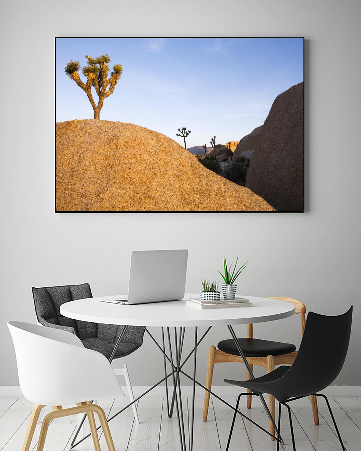 Joshua Tree Dream by Acer Images on GIANT ART - blue landscape
