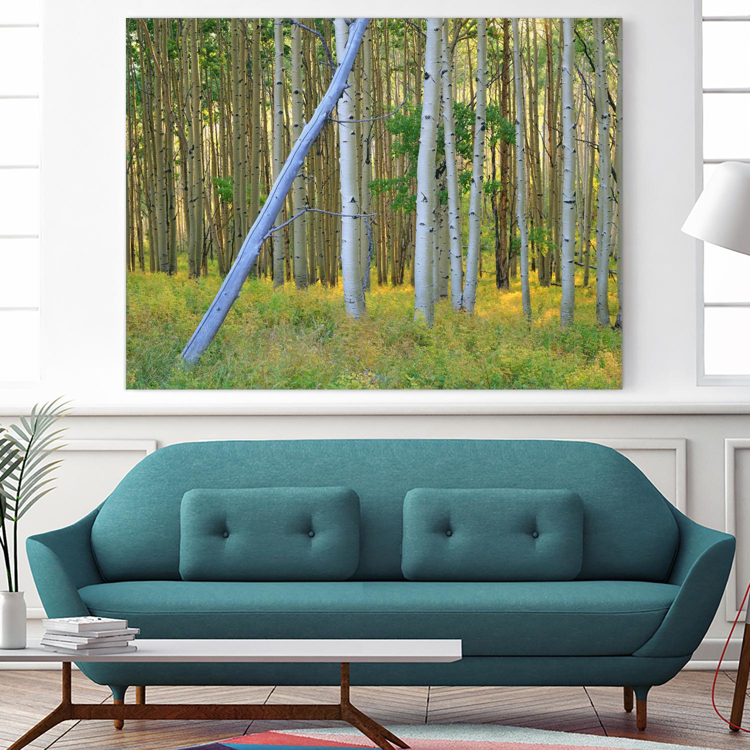 Aspen 2 by Robert Hansen on GIANT ART - white landscape