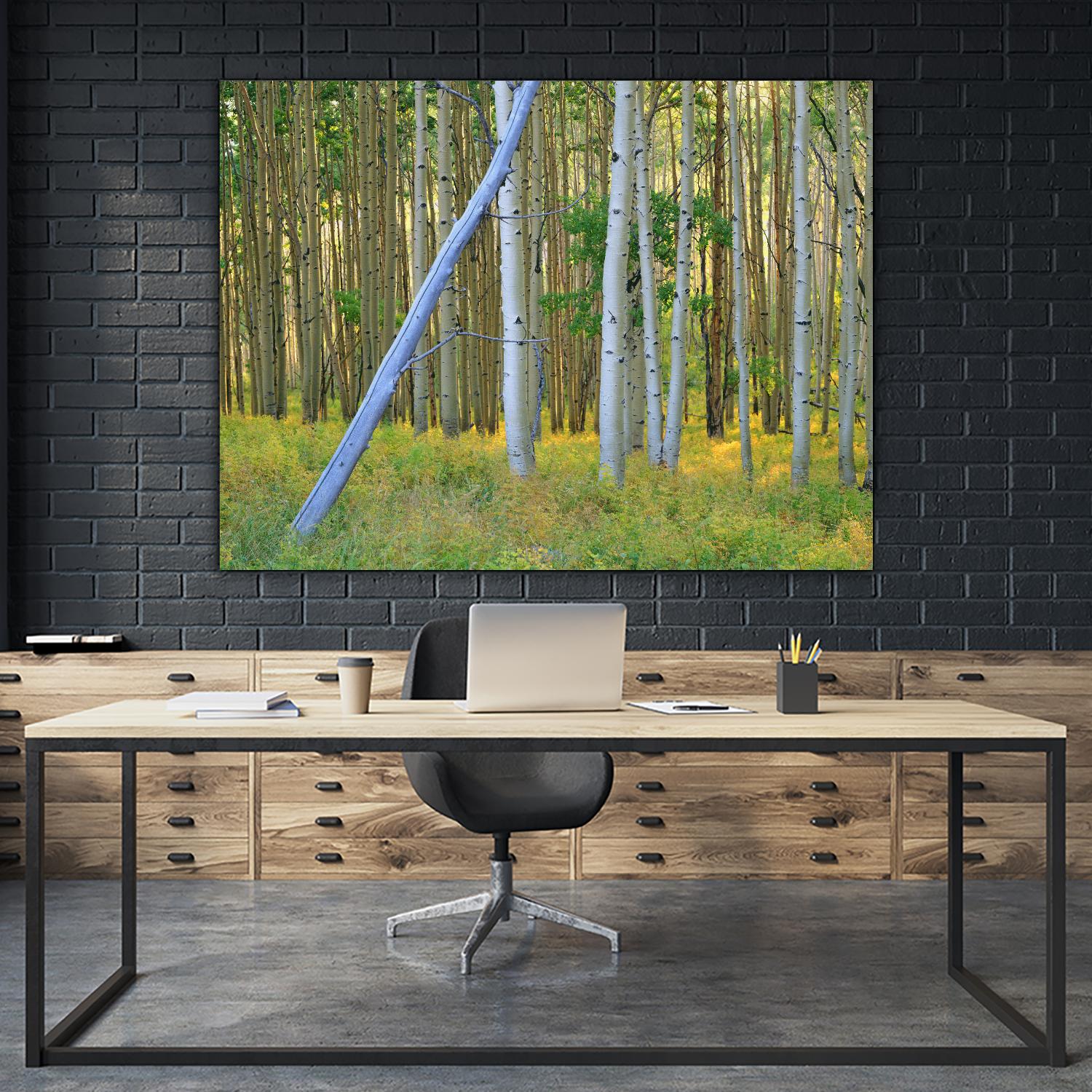 Aspen 2 by Robert Hansen on GIANT ART - white landscape