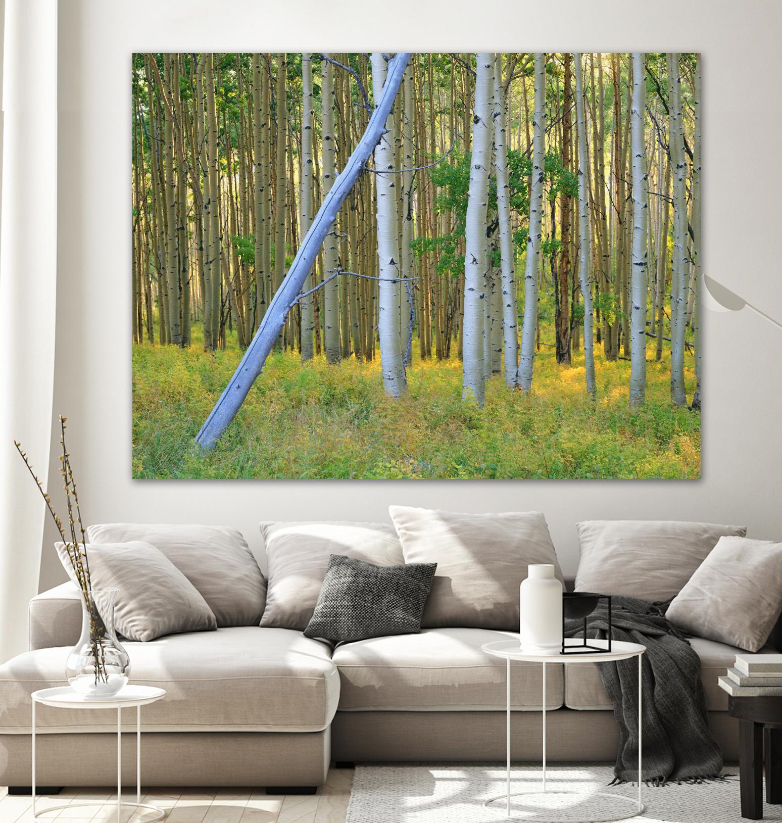 Aspen 2 by Robert Hansen on GIANT ART - white landscape