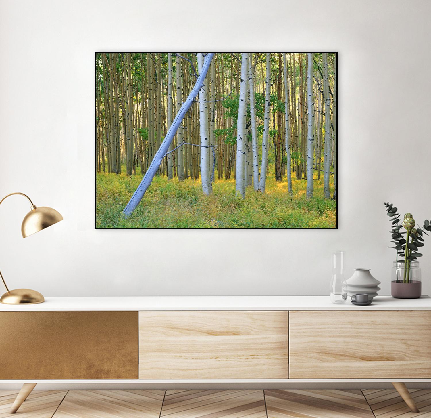 Aspen 2 by Robert Hansen on GIANT ART - white landscape