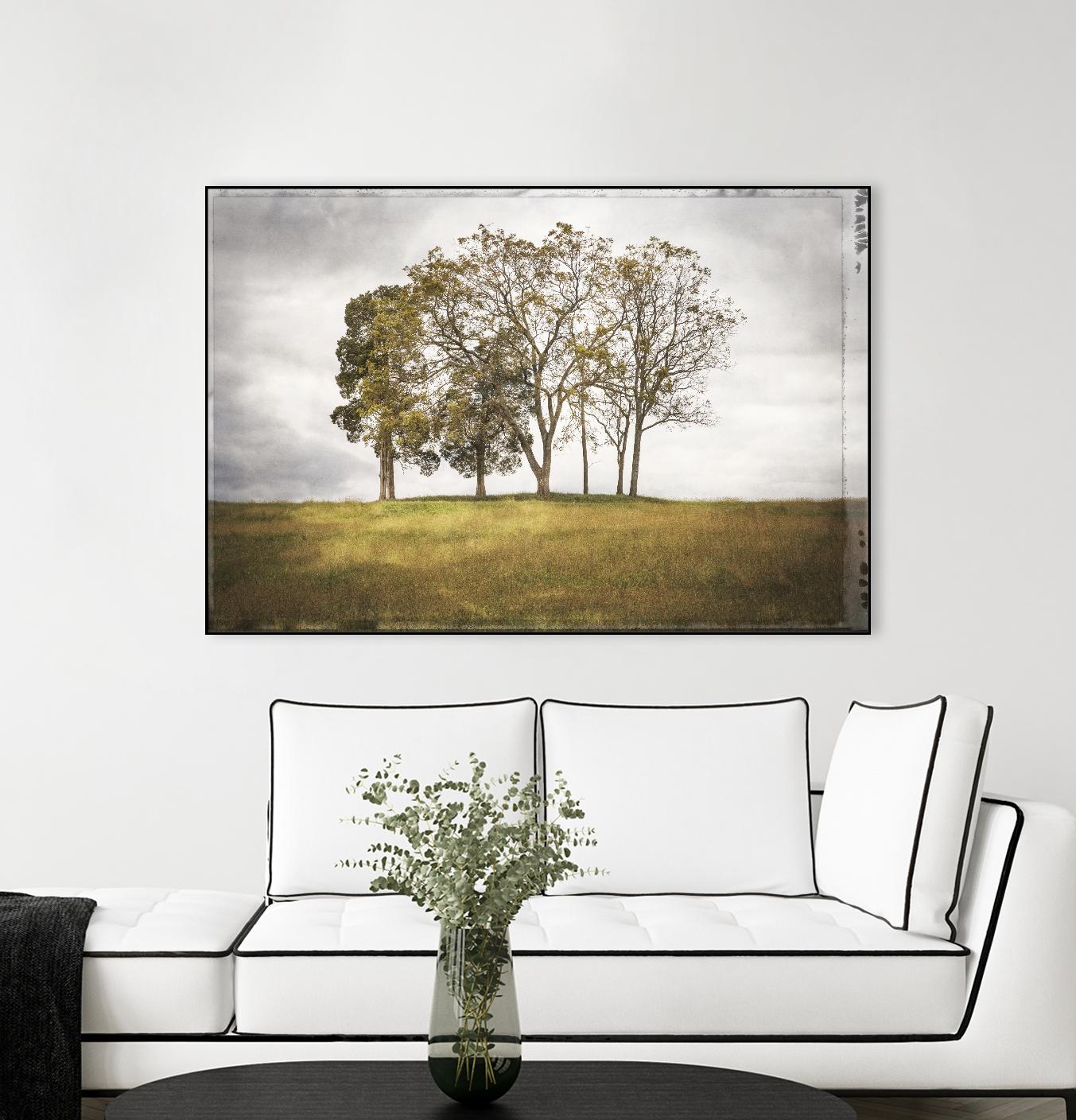 Three Trees by Lillis Werder on GIANT ART - gold landscape