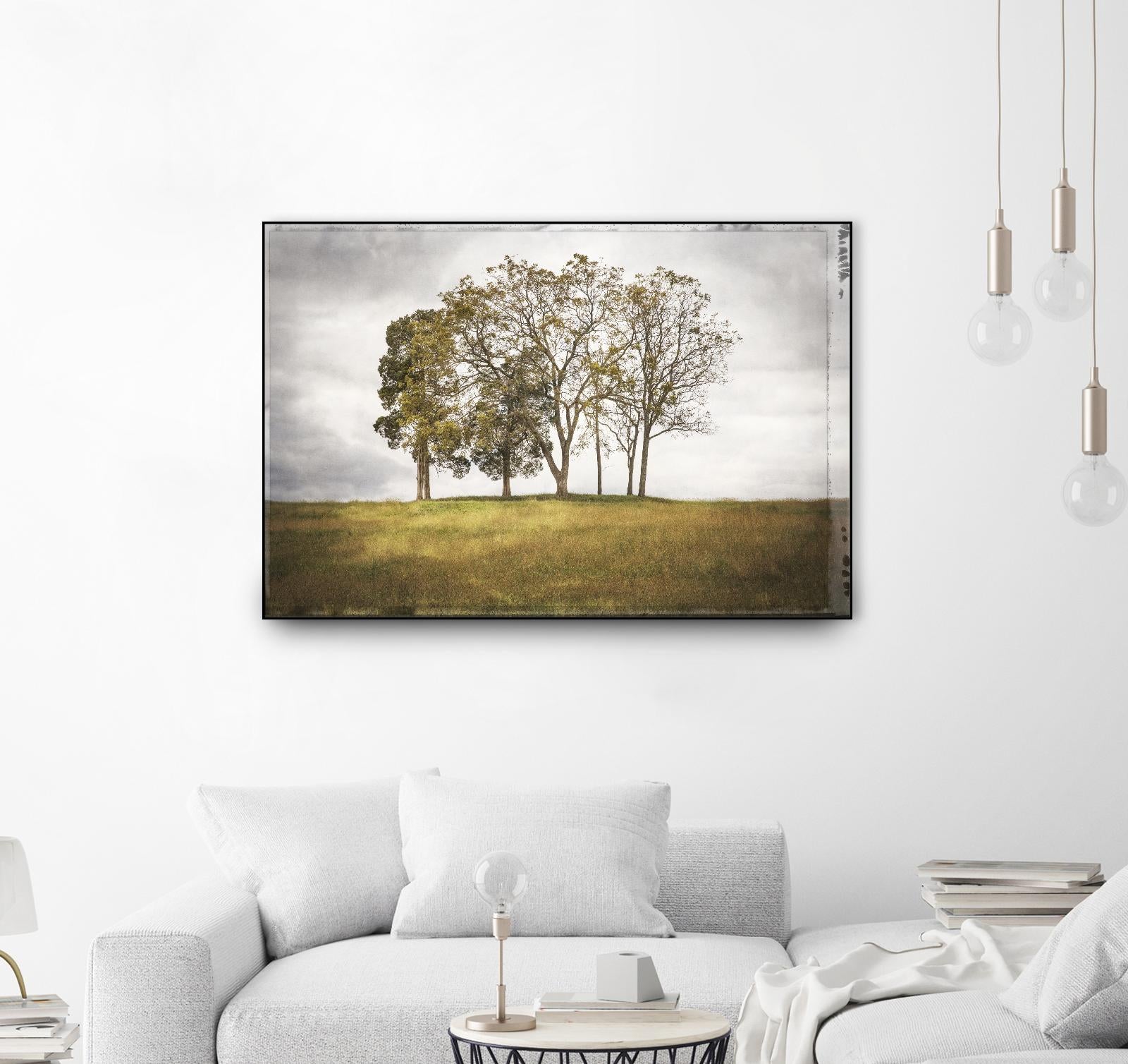 Three Trees by Lillis Werder on GIANT ART - gold landscape
