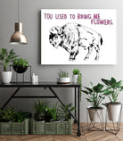 Bison by Natasha Marie on GIANT ART - pink black & white beef