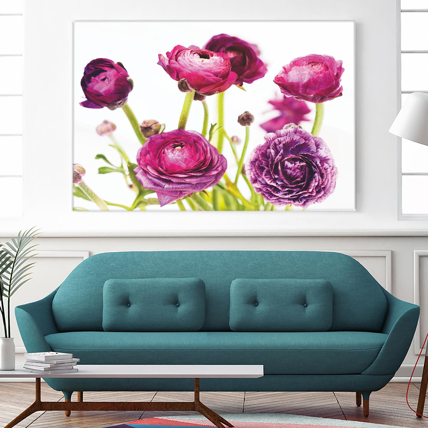 Spring Ranunculus III by Laura Marshall on GIANT ART - green floral