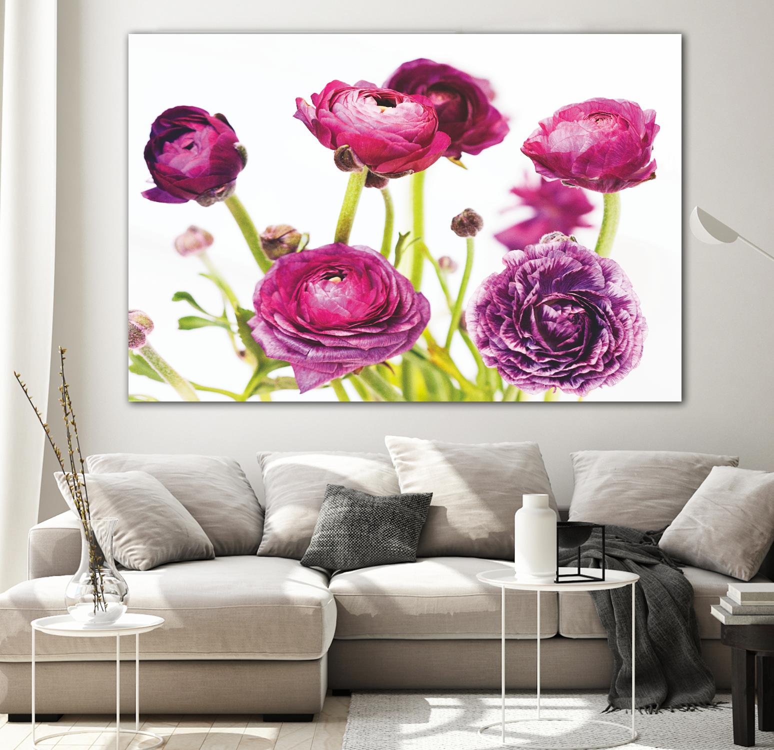 Spring Ranunculus III by Laura Marshall on GIANT ART - green floral