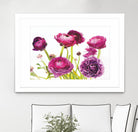 Spring Ranunculus III by Laura Marshall on GIANT ART - green floral