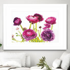 Spring Ranunculus III by Laura Marshall on GIANT ART - green floral