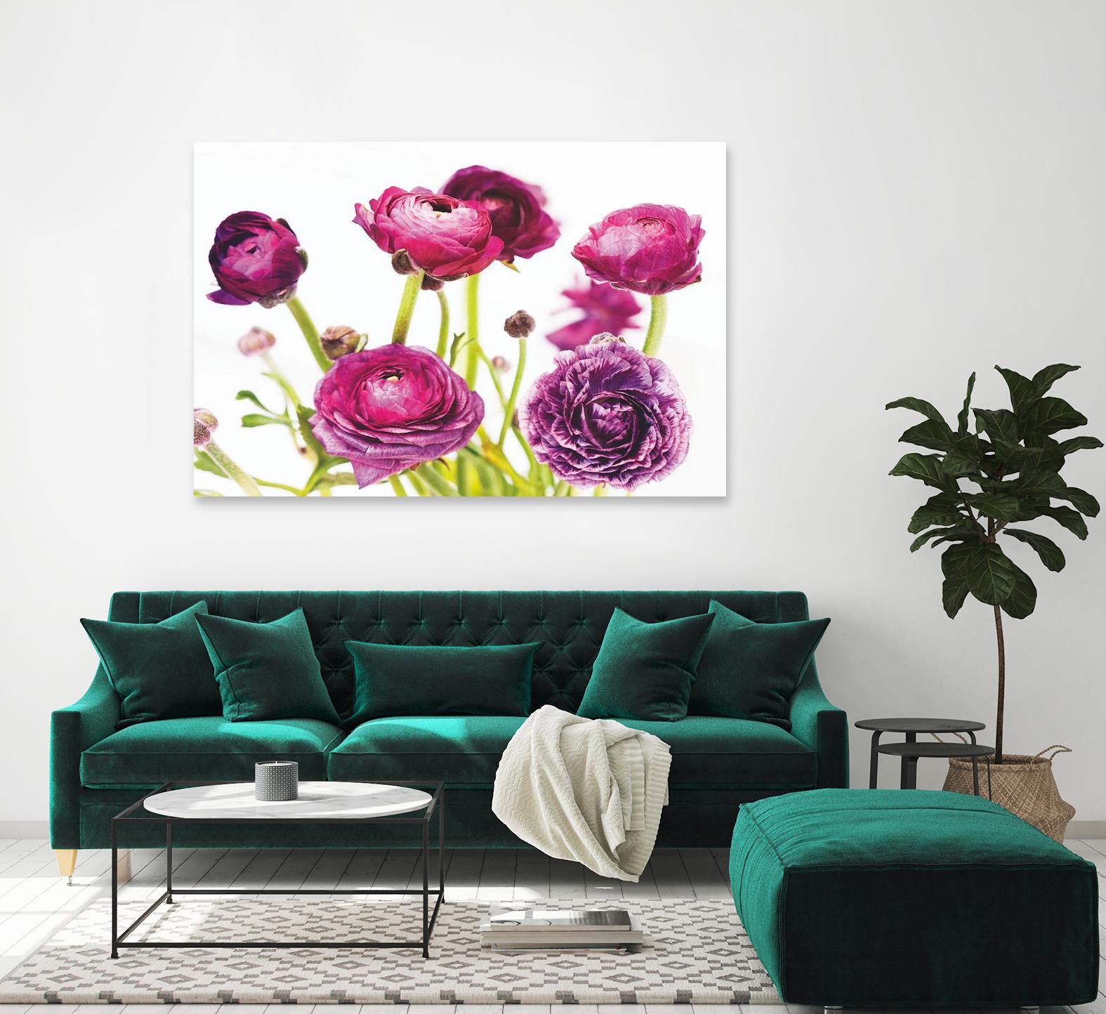 Spring Ranunculus III by Laura Marshall on GIANT ART - green floral