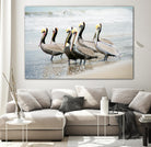 Pacific Cool IV Crop by Elizabeth Urquhart on GIANT ART - grey animals