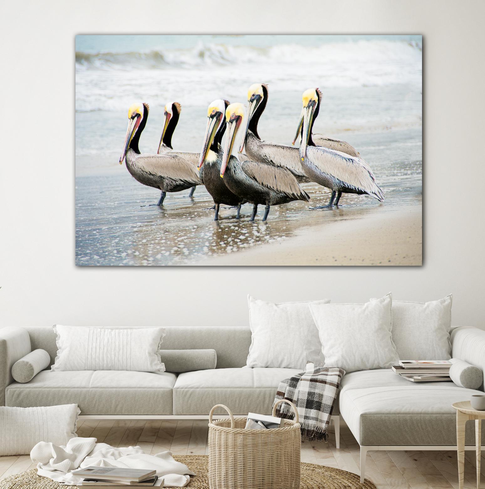 Pacific Cool IV Crop by Elizabeth Urquhart on GIANT ART - grey animals