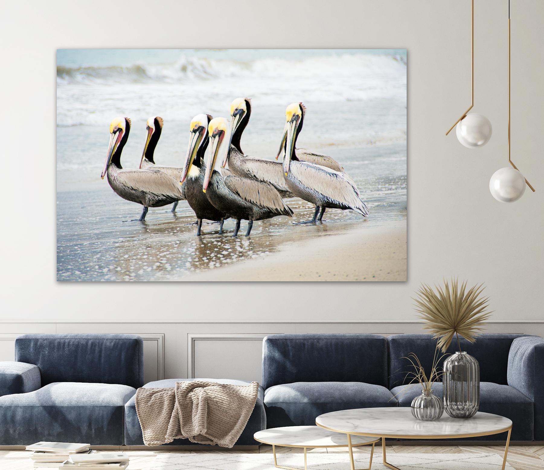 Pacific Cool IV Crop by Elizabeth Urquhart on GIANT ART - grey animals