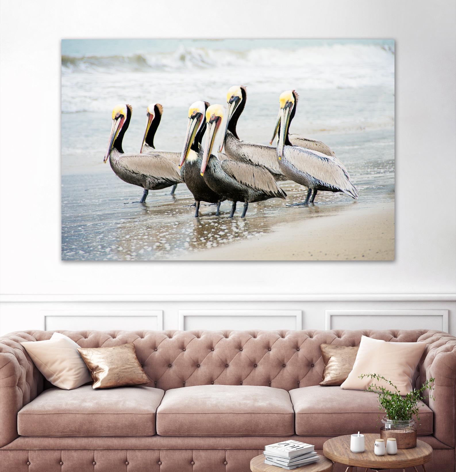 Pacific Cool IV Crop by Elizabeth Urquhart on GIANT ART - grey animals