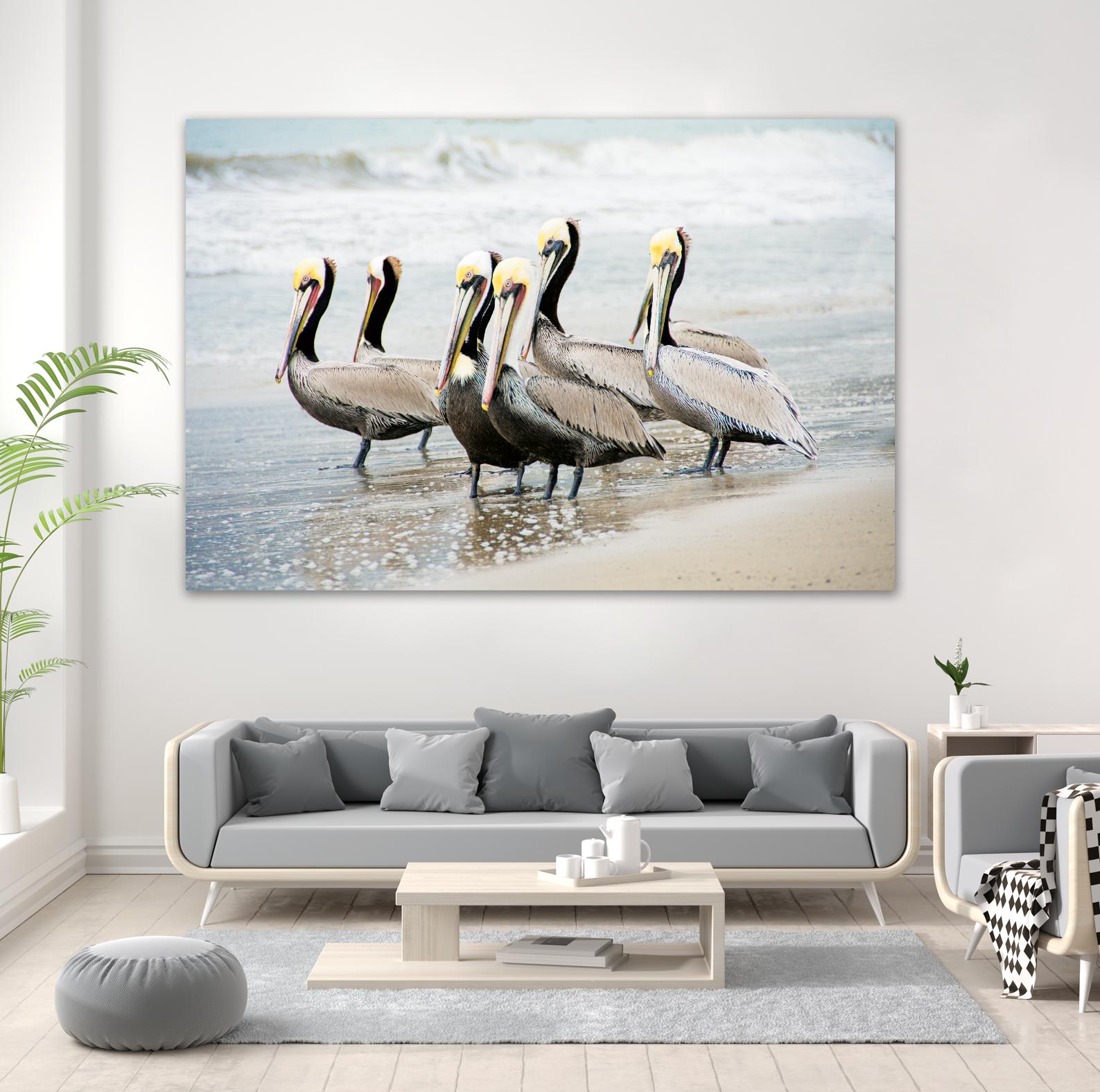 Pacific Cool IV Crop by Elizabeth Urquhart on GIANT ART - grey animals