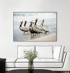 Pacific Cool IV Crop by Elizabeth Urquhart on GIANT ART - grey animals