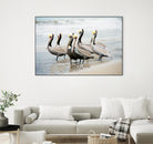 Pacific Cool IV Crop by Elizabeth Urquhart on GIANT ART - grey animals