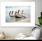 Pacific Cool IV Crop by Elizabeth Urquhart on GIANT ART - grey animals