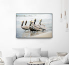 Pacific Cool IV Crop by Elizabeth Urquhart on GIANT ART - grey animals